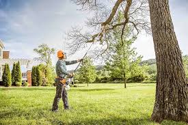 Best Hazardous Tree Removal  in Creston, IA